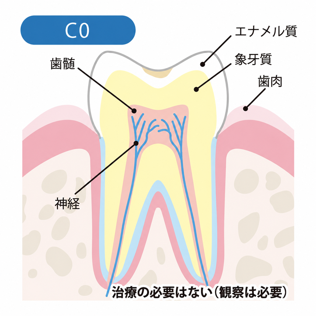 ほんだ歯科