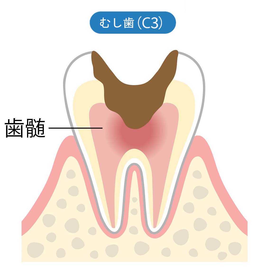 ほんだ歯科